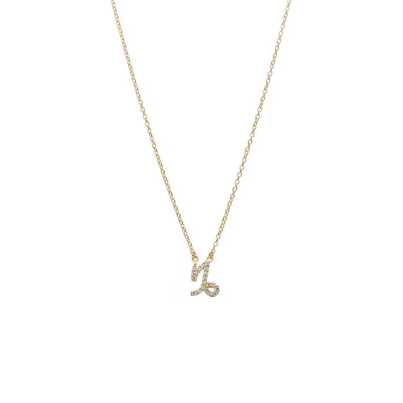 Silk & Steel Capricorn Necklace image number 0